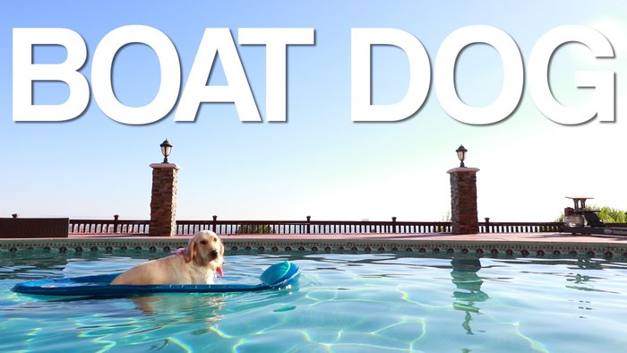 Markiplier Boat Dog Gesture!