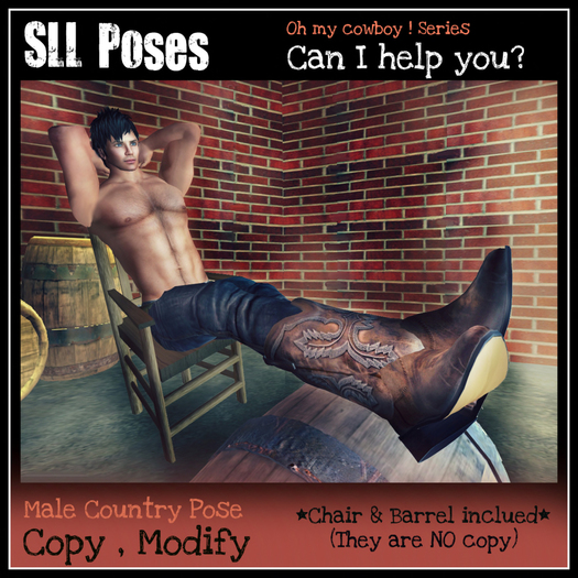 SLL Poses - CP - Can I help you?