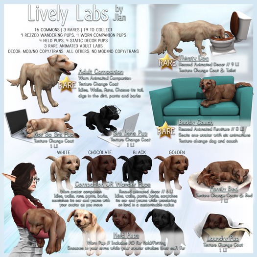 JIAN Lively Labs :: Chocolate Held Pup