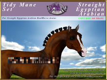 *E* RealHorse Tidy Mane Set [BOXED] RH S Egyptian Arabian