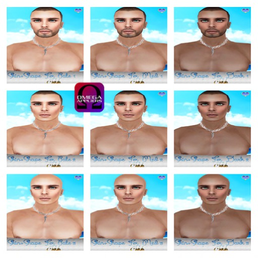 ::SKIN+SHAPE *FER* Fat Pack::