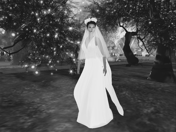 Serendipity Demo long gown with cape