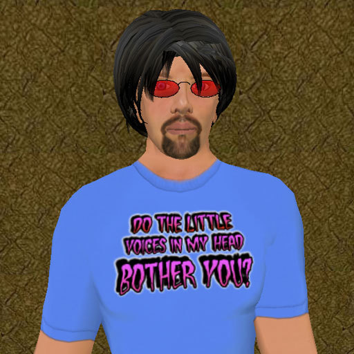 P-Shirts: Do the Voices,,,