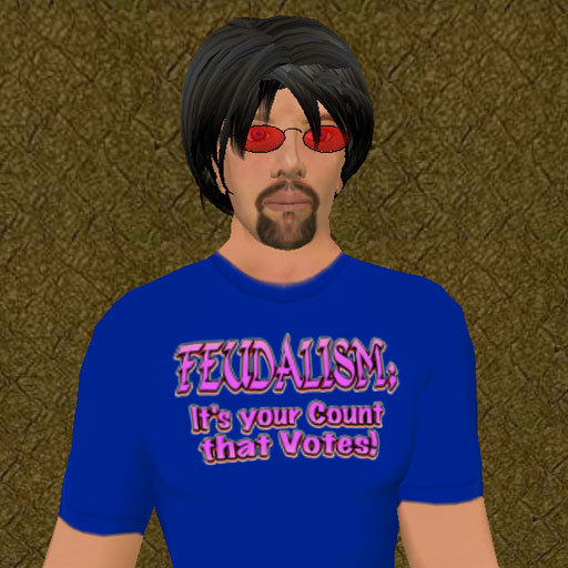 P-Shirts: Feudalism
