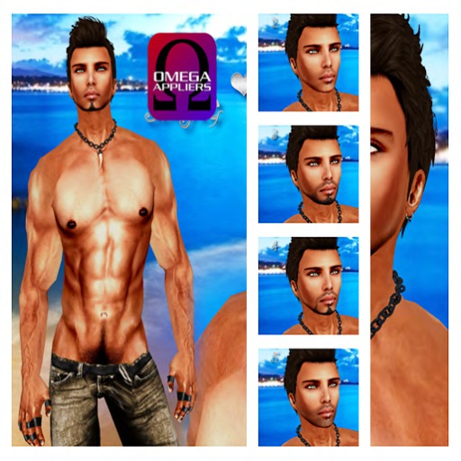 ::SKIN+SHAPE *NICOLAS* Fat Pack::