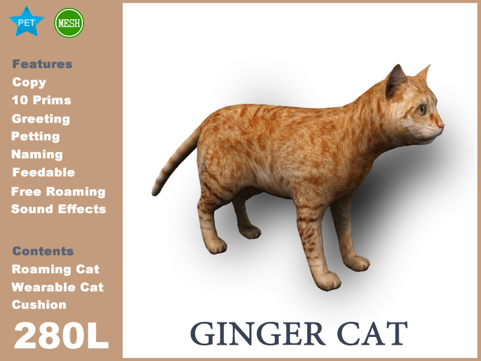 DEMO_GingerCat