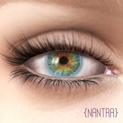 {NANTRA} Natural Eyes: Tropics