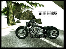 GRAVESON-The WILD HORSE.6G