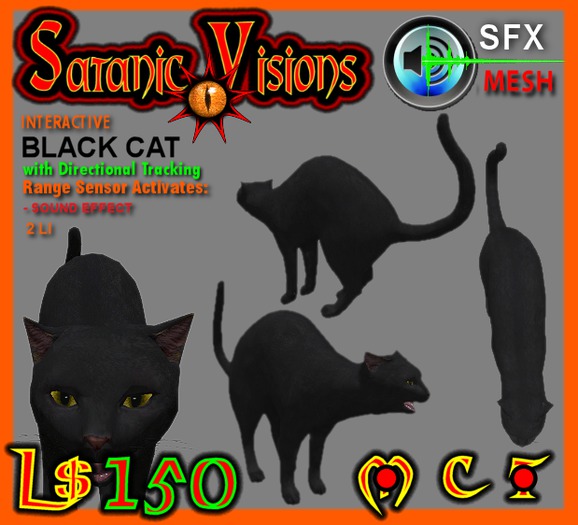 Black Cat