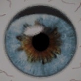 Cole's 2tone Blue Eyes 6