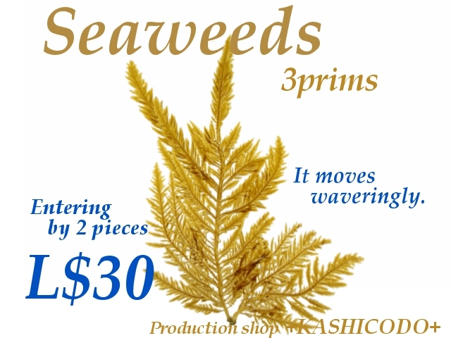 Seaweeds (uraushi-2)