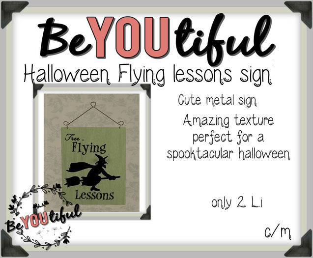 BeYouTiful} Flying lessons sign