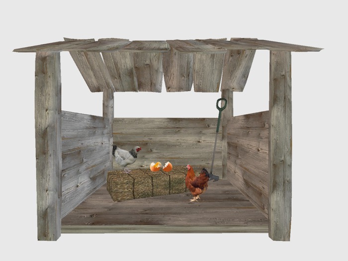Small Shed With Chickens