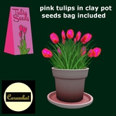 GF - Tulips in clay pot - pink including seeds