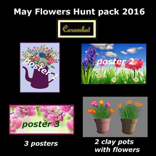 May flowers Hunt Pack Caramba