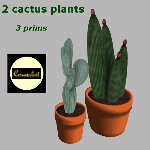 GP - 2 cactus plants