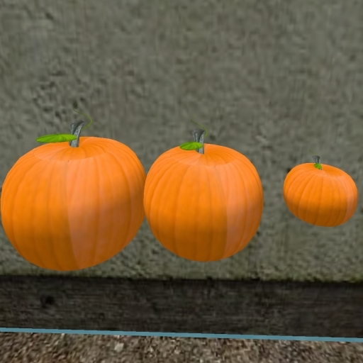 pumpkin3 set of 3