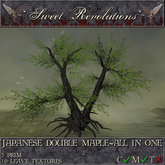 ~*SR*~ Japanese Double Maple ~ All In One cm Box