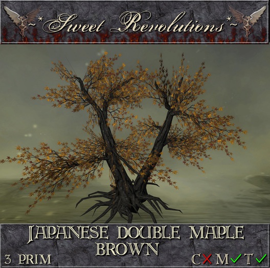 ~*SR*~ Japanese Double Maple ~ Brown mt Box