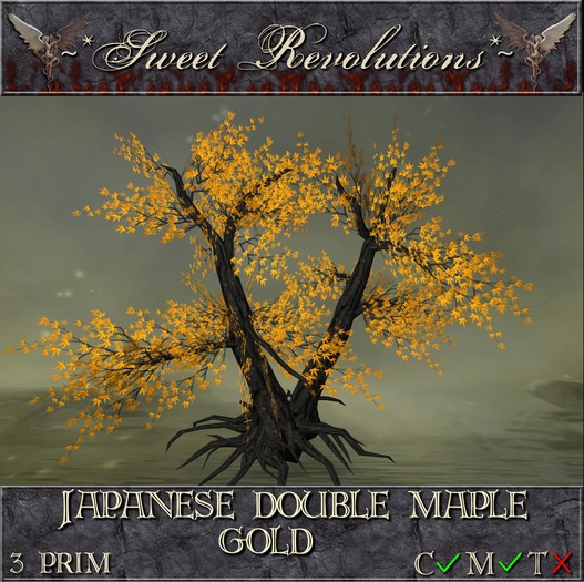 ~*SR*~ Japanese Double Maple ~ Gold cm Box