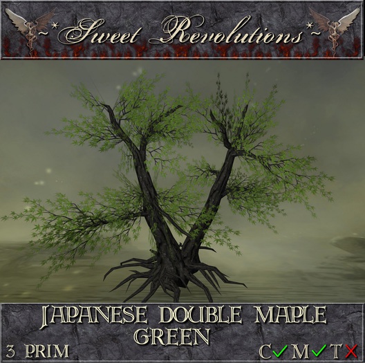 ~*SR*~ Japanese Double Maple ~ Green cm Box