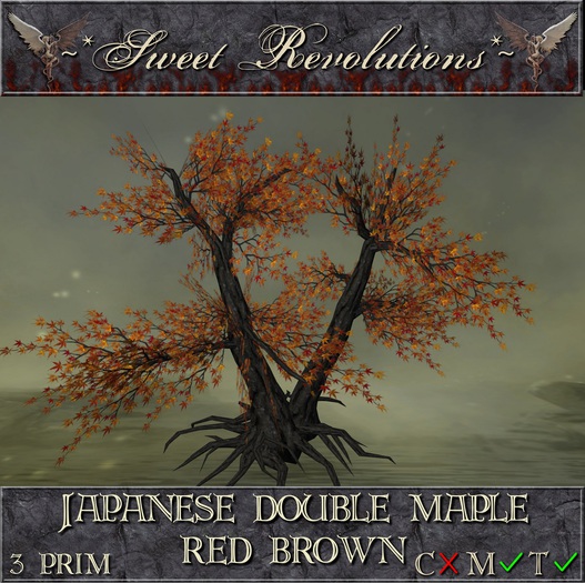 ~*SR*~ Japanese Double Maple ~ Red Brown mt Box