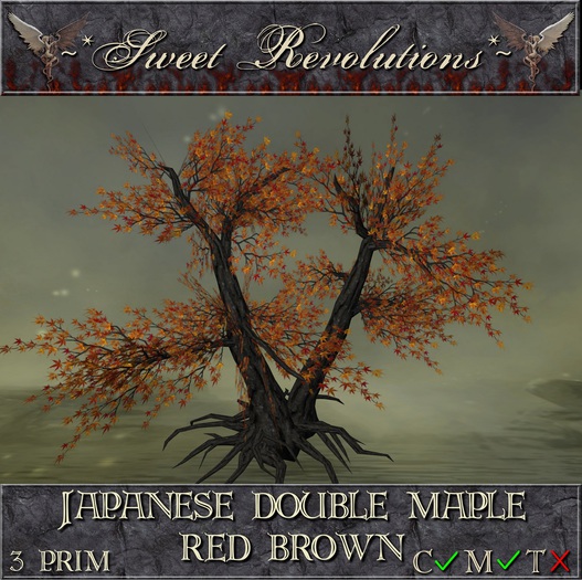 ~*SR*~ Japanese Double Maple ~ Red Brown cm Box