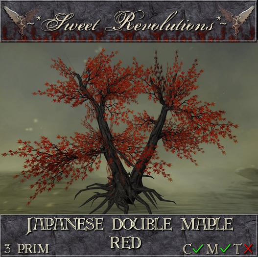 ~*SR*~ Japanese Double Maple ~ Red cm Box