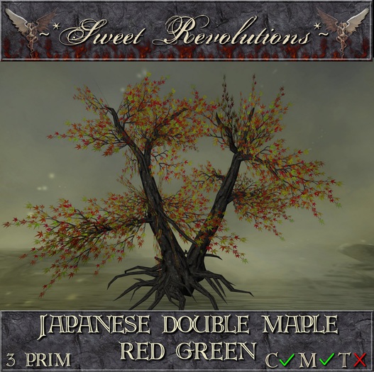 ~*SR*~ Japanese Double Maple ~ Red Green cm Box