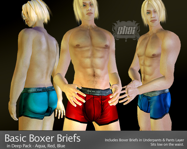 *Shai Boudoir* Boxer Briefs Deep Pack