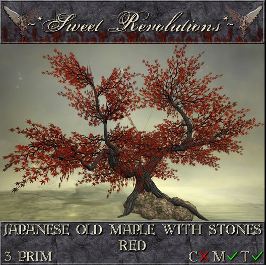 ~*SR*~ Japanese Old Maple With Stones ~ Red mt Box