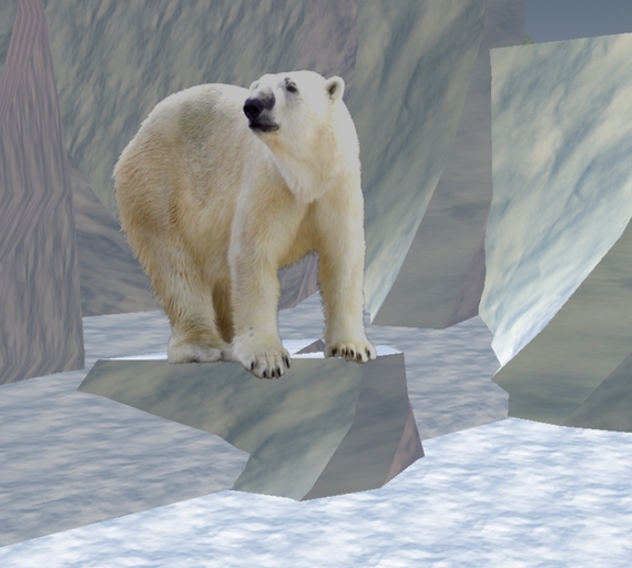 Polar Bear: Standing