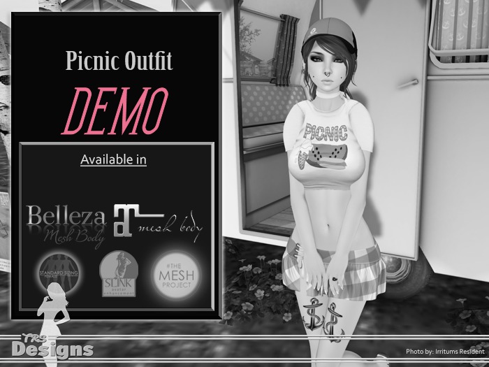 Picnic Demo