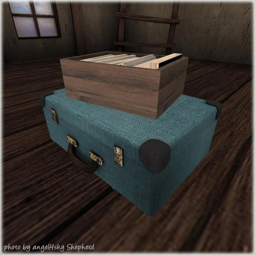 Concept} *02. Escape. Suit case + books