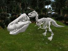 TM TREX Skeleton
