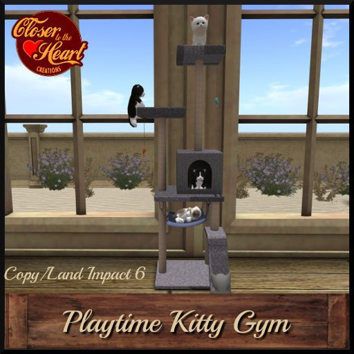 Playtime Kitty Gym**