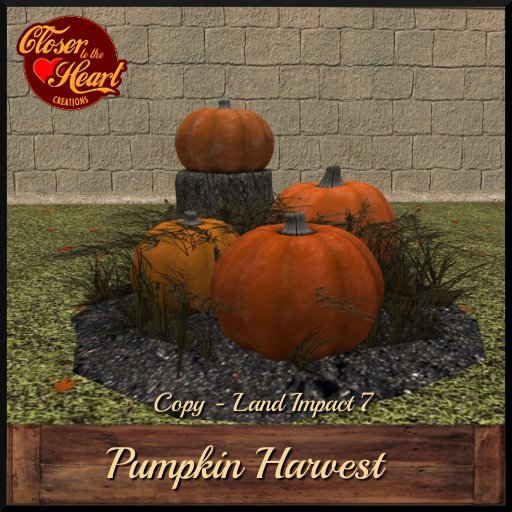 Pumpkin Harvest**