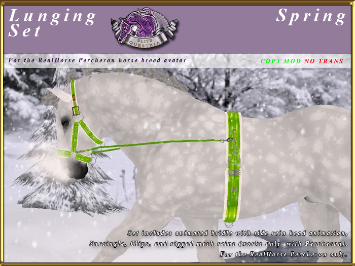 *E* Lunging Set [BOXED] RH Percheron Spring