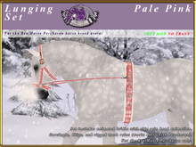 *E* Lunging Set [BOXED] RH Percheron Pale Pink
