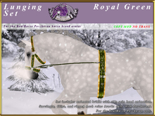 *E* Lunging Set [BOXED] RH Percheron Royal Green