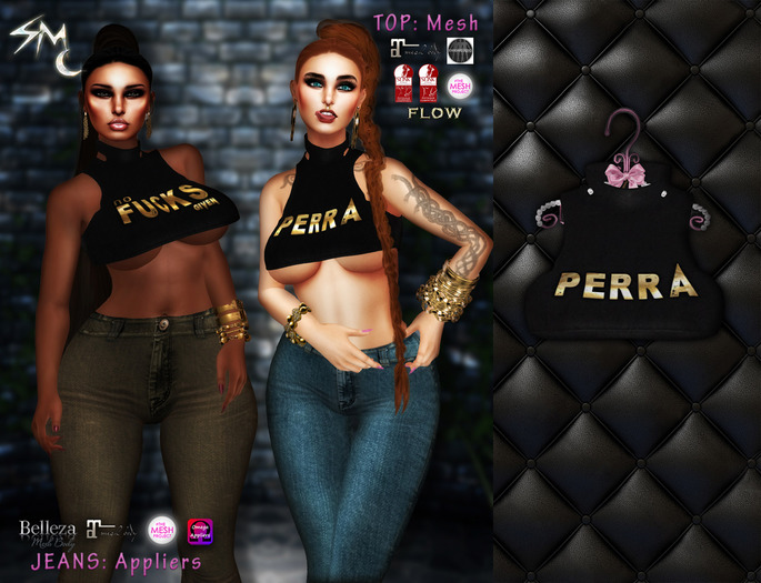 #SilverMoon - Perra Top [FITMESH, STANDARD]