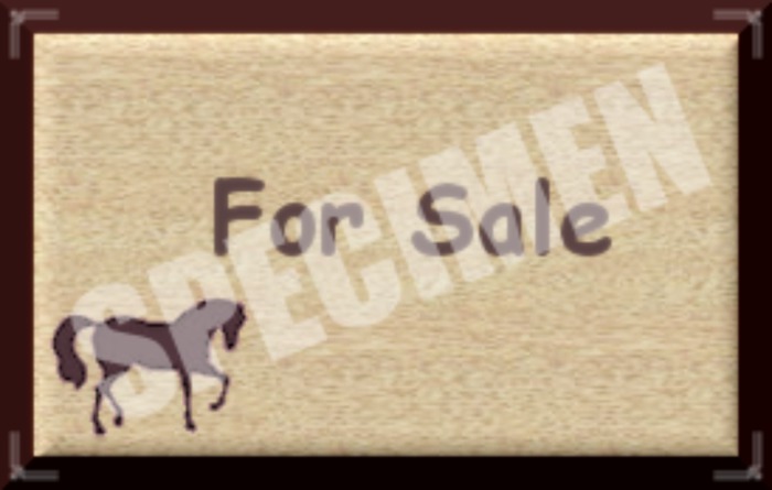 FOR SALE SIGN