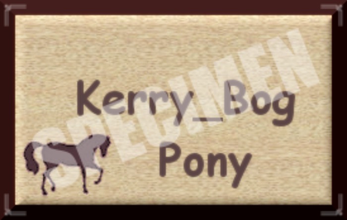 KERRYBOG PONY SIGN