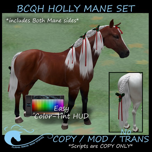 BC Quarter Horse Holly Mane Set