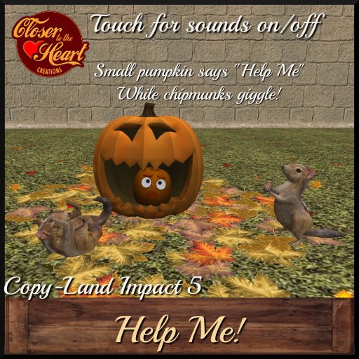 Help me pumpkin & chipmunks**