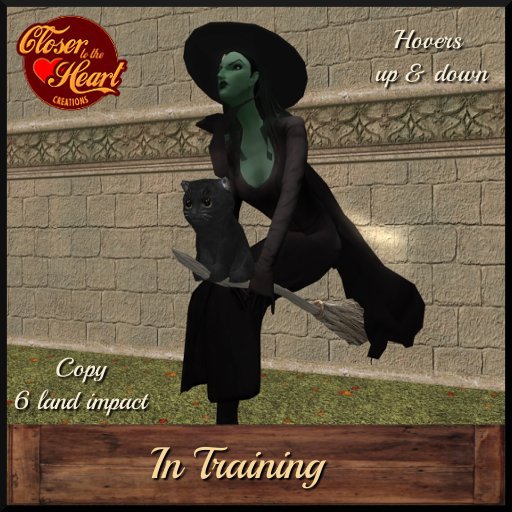In Training Witch & Cat
