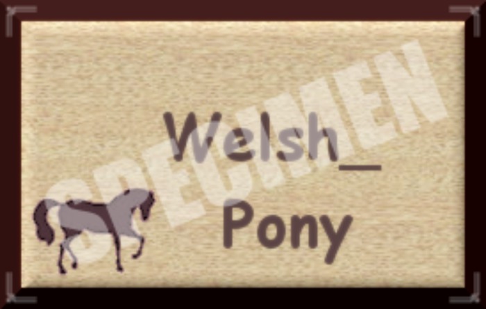 WELSHPONYSIGN