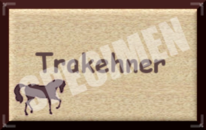 TRAKEHNER SIGN