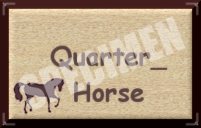 QUARTER HORSE SIGN