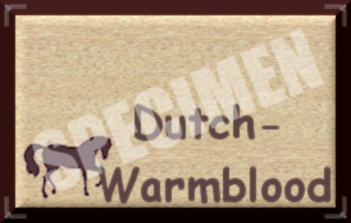 DUTCH WARMBLOOD SIGN